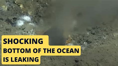 Scientists Discover Leak in the Bottom of the Ocean